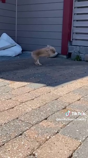 It’s an art form 😁