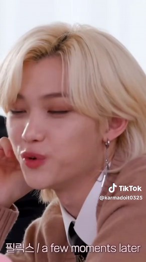 Stray Kids Members: Spotlight on Lee Know