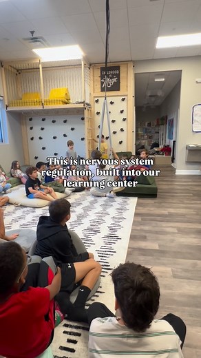 2.7K views | Sensory swings give the nervous system vestibular input...