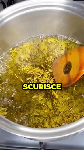 Video di Max_Monda (@aston.monda) con audio originale - Max_Monda