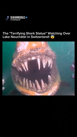 Seafaring Souls | The "Shark" statue in Lake Neuchâtel is a giant, almost surreal sight. Created by Swiss artist *David Béni*, it’s a massive fiberglass... | Instagram