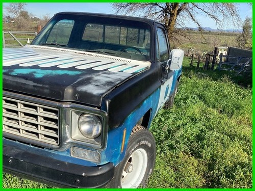 1976 Chevrolet Stepside | eBay