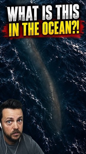 What Is THIS in the Ocean?! 👀🌊😳