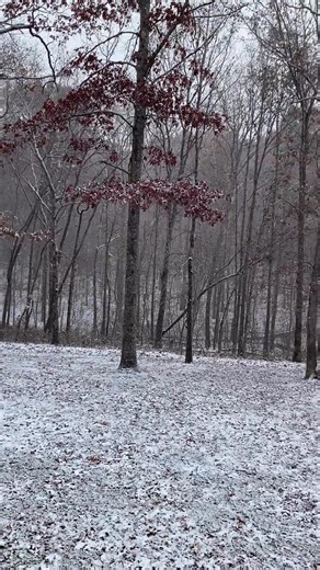 1.7K views · 20 reactions | SNOW in Crossville this Monday Afternoon! #Tennessee #snow Todd Howell WBIR WBIR Weather | Meandering Across America | Facebook