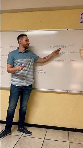 Clasificación de Articulaciones 🦴🤓. #anatomia #universidad #fisioterapia #huesos #articulaciones