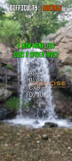 Test Your Intellect with Mind-Bending Puzzles and Trivia!