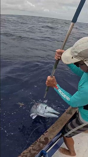 Quand on remonte un poisson mort #fishing #ocean #viralvideo #4k #fish