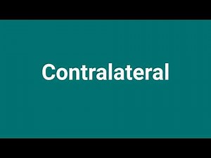 'Contralateral' Meaning and Pronunciation