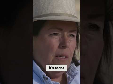 Discover the secret to ranch protection with guardian dogs!