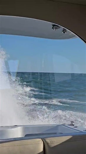 Arneson Marine on Reels