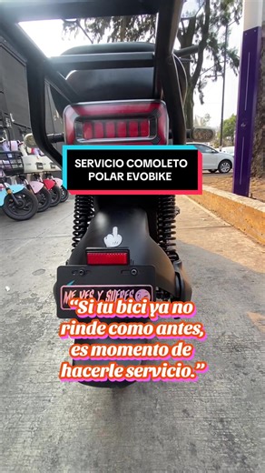 Mantenimiento Completo a E-Bike Polar - Reseña del Cliente