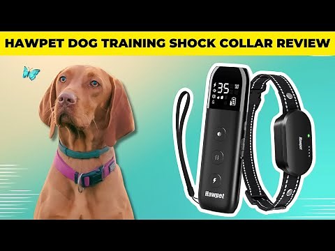 Hawpet Dog Training Shock Collar Review #doggadget #dogtraining