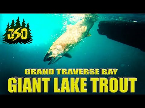 Jigging for GIANT Lake Trout on Grand Traverse Bay | Calm Water, Big Fish