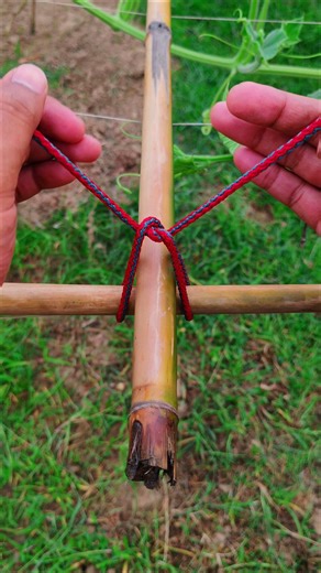 Most Popular Knot – Quick, Easy & Super Reliable 🔥(100% Strong!)