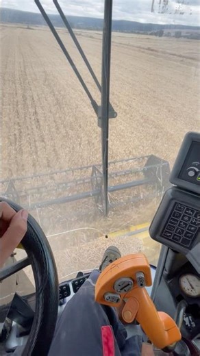 TC56 #biçerdöver #newholland #combineharvester #farming #çifçi #çiftlik #farm