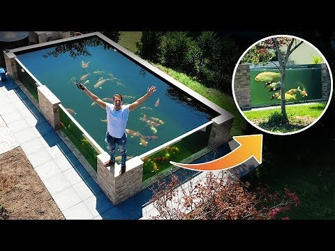 Worlds COOLEST KOI FISH POND! - here’s is what Happend