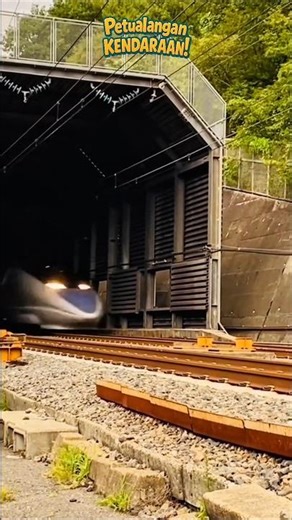 FAST TRAIN |#shortsvideo #short #fasttrain