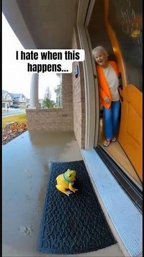 Naruto summoned his frog and it turned out to be a mistake… 😱 #narutovlogs #naruto