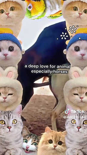 Understanding Horse Mating Behavior and Process