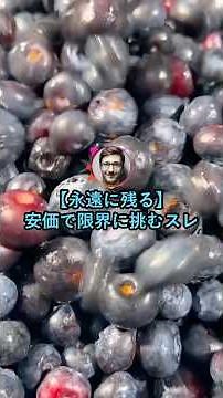 【永遠に残る】安価で限界に挑むスレ【2ch面白いスレ】