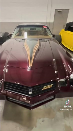 1981 Chevy Camaro Z28 #chevy #automobile #car #z28 #forsale