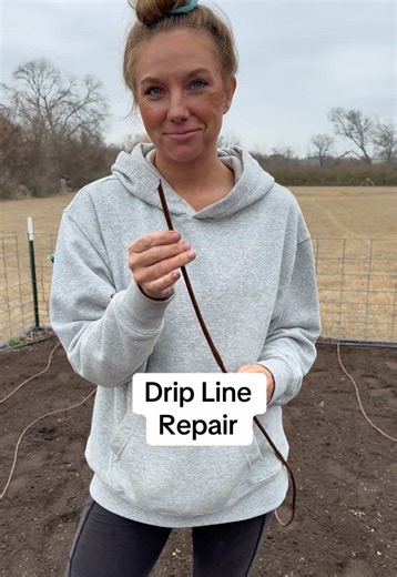 Here’s how I repair or replace the drip lines I have in the garden. It’s quicker and easier than you think. #dripline #diy #dripirrigation #gardening #howto