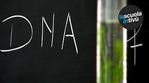 Introduzione al DNA fingerprinting