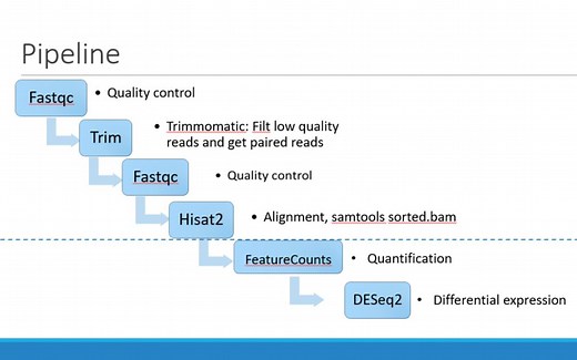 bulk RNA sequence downstream analysis---R programming