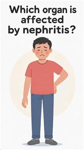 Nephritis|| Nephritis Diseases|| Nephritis Syndrome|| Nephritis Symptoms|| #short #shorts #trending