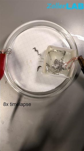 Growing tin dendrites through a paper separator #science