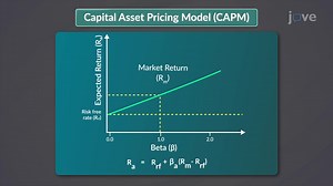 Video: Capital Asset Pricing Model: Introduction