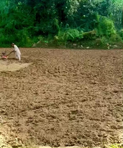 Working the Field: Modern Tilling Techniques Explained