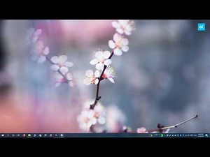 How to toggle HDR with a script on Windows 10