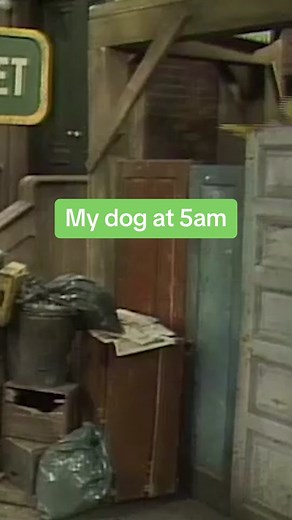 Will somebody PLEASE come play with Big Bird? #OldSchoolSesame #BigBird #SesameStreet