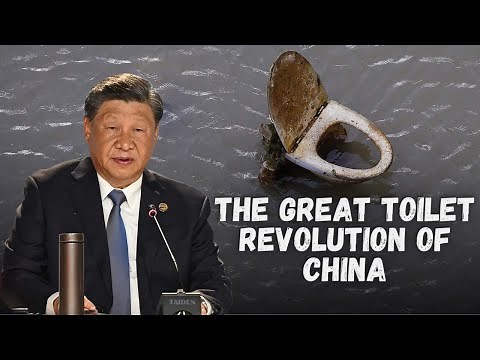 The Great Toilet Revolution of China