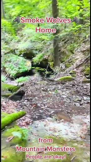Video from Local farmer to Mountain Monsters!!! #mountainmonsters #bigfootisreal #sasquach #monsters #trapper #creatures