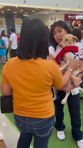 140K views · 7.9K reactions | AYAW NYO BA TALAGA KAY BALONG? 2ND ADOPTION DRIVE NA PO NYA ITO BAKA NMAN KAYO NA ANG FUREVER NYA! Robinsons Antipolo TODAY until 5pm only! Visit us here! #TheErawrsTour #AdoptDontShop | Animal Kingdom Foundation | Facebook
