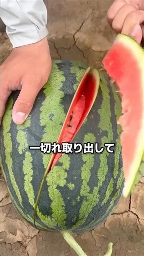 簡単なスイカの切り方