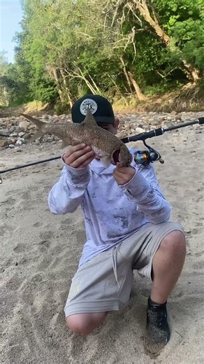 Slaying the micros #edit #poon #micro #gay #australia #yourassatfishingcuh #release #waterfall #life