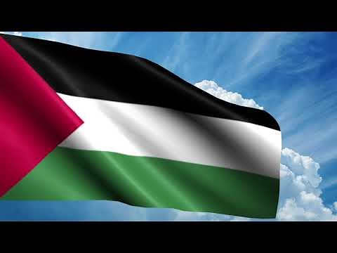 Animasi Bendera Palestina Full HD | Palestine Flag Animation, 3D Flag Animation