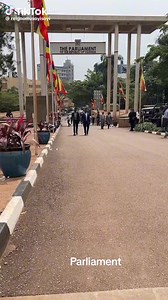 3.8K views · 472 reactions | The Parliament | Reign Comedy | Facebook