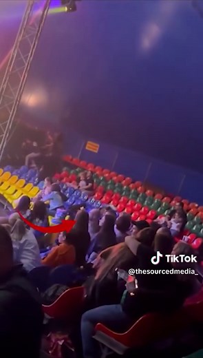 Circus Tiger Jumps into Crowd in Russia, No Injuries Reported