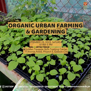 1.6K views | Do you want to grow your own vegetables and herbs at...