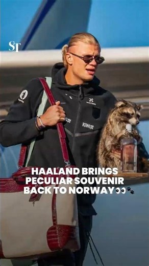 Norway’s Haaland returns home with unusual World Cup souvenir 👀🐾