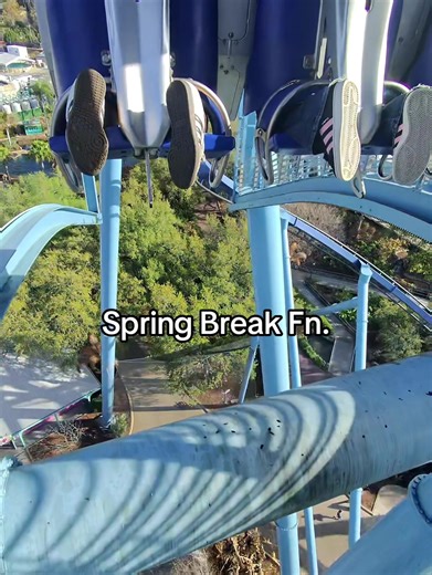 Experience the Thrills of Manta at SeaWorld Orlando