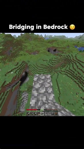 Minecraft 🙃 Java vs Bedrock Bridging 🕊️