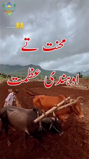 Old Farmer Life | Agri Tools #farming#agriculture #oldfarming