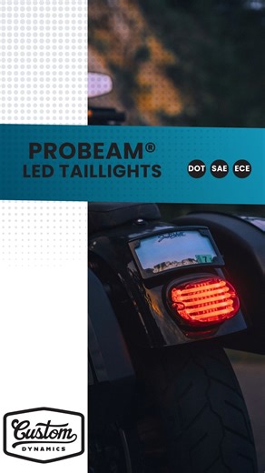Looking for the perfect LED taillight upgrade for your Harley? In just 3 minutes, this video breaks down the Custom Dynamics' ProBEAM® LED motorcycle taillights! Get a close-up look at both the low profile and squareback lens styles, and discover your choices for license plate illumination so you can find the perfect fit for your ride. . Head to www.CustomDynamics.com to upgrade your bike’s style and safety today ! . #customdynamics #harleydavidson #motorcycleaccessories #performancelighting #pr