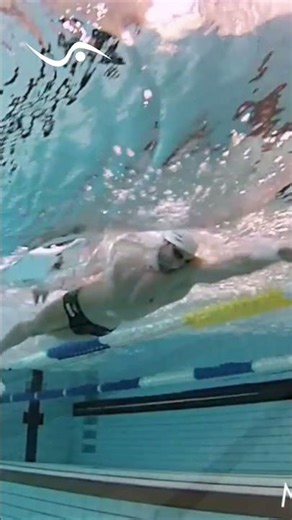 Master Freestyle: The Secret to a Blazing Fast Flutter Kick! #shorts