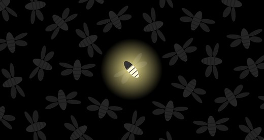 Fireflies